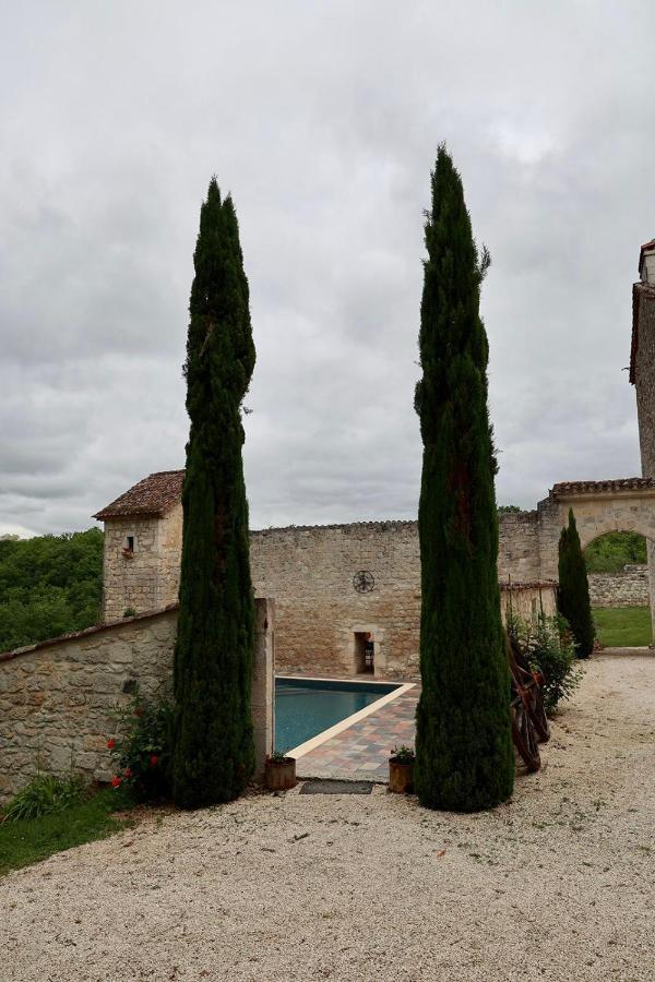 Chateau De Pleneselve Bon-Encontre Екстериор снимка