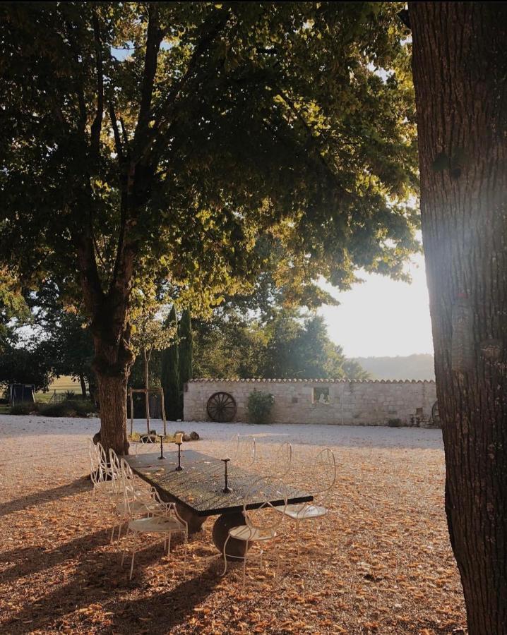 Chateau De Pleneselve Bon-Encontre Екстериор снимка