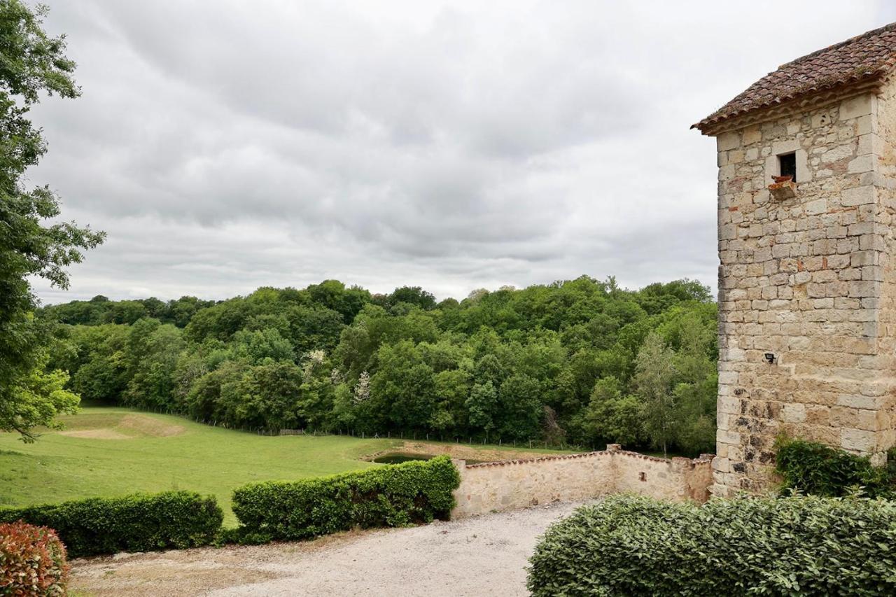 Chateau De Pleneselve Bon-Encontre Екстериор снимка