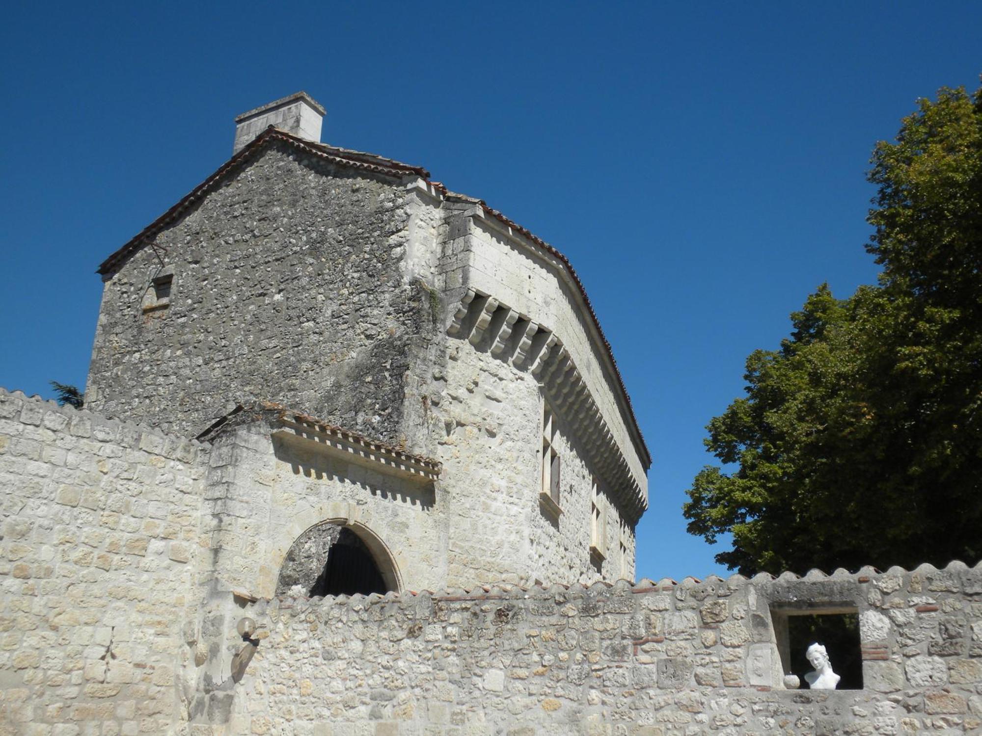 Chateau De Pleneselve Bon-Encontre Екстериор снимка